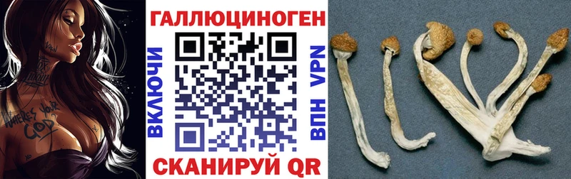 Псилоцибиновые грибы MAGIC MUSHROOMS  Полярный 